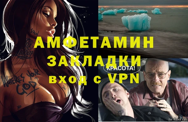 сатива Новозыбков