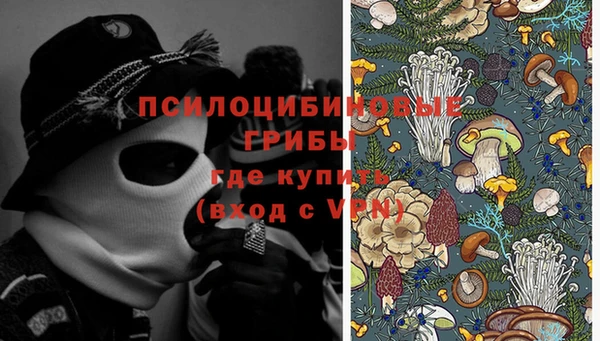 тгк Балахна