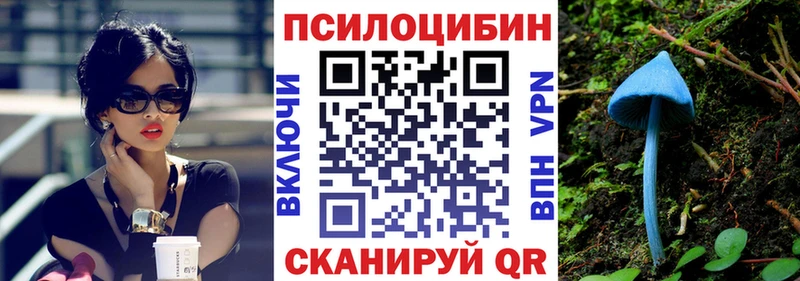 Галлюциногенные грибы Psilocybine cubensis Сафоново